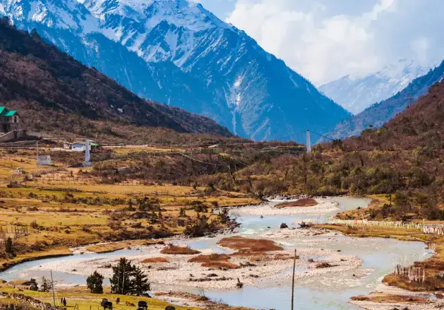 Chopta Valley Sikkim