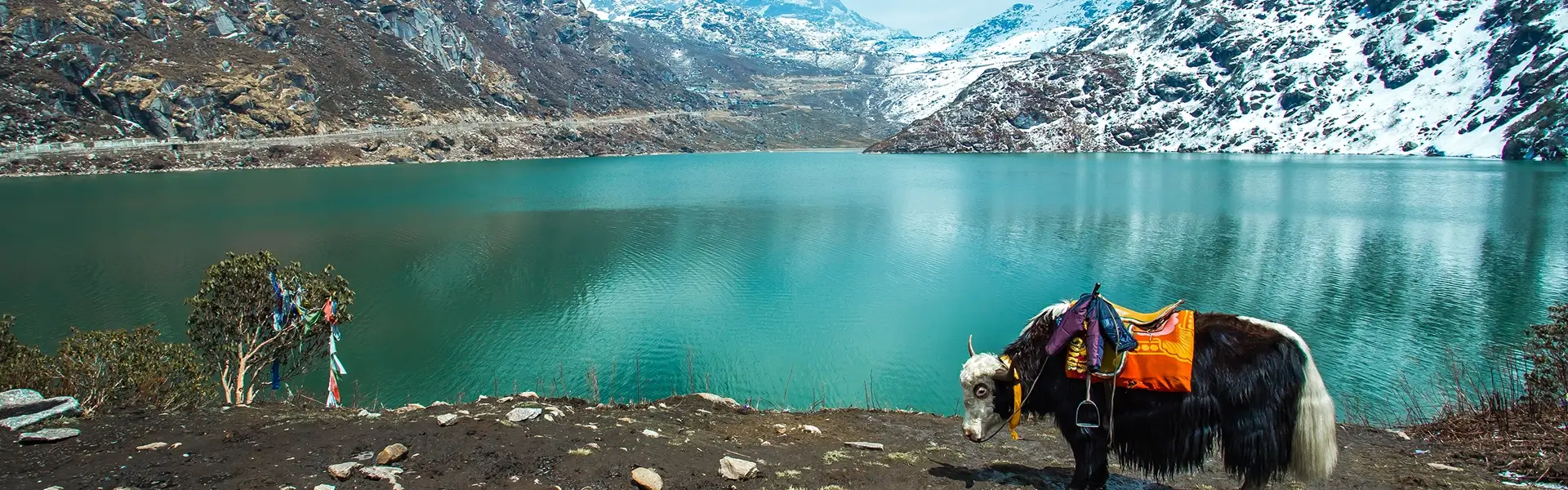 Must-Visit Scenic Lakes in Sikkim