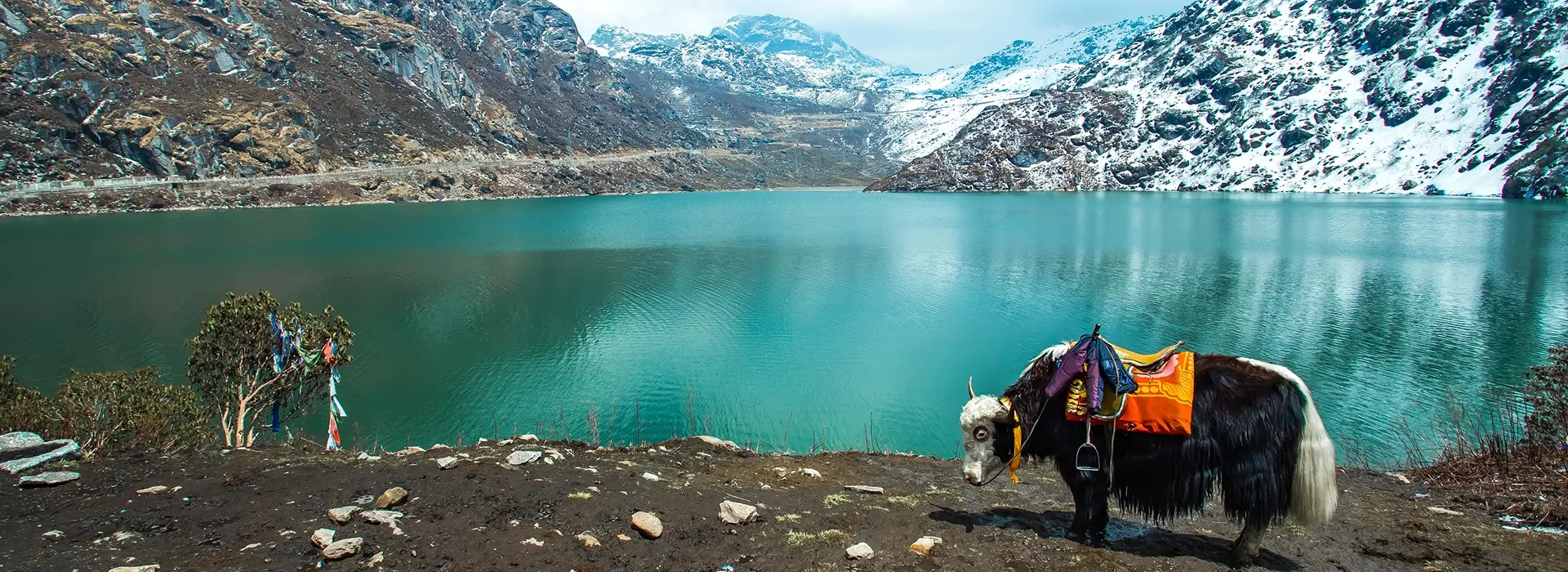 Sikkim Tour Packages from Siliguri