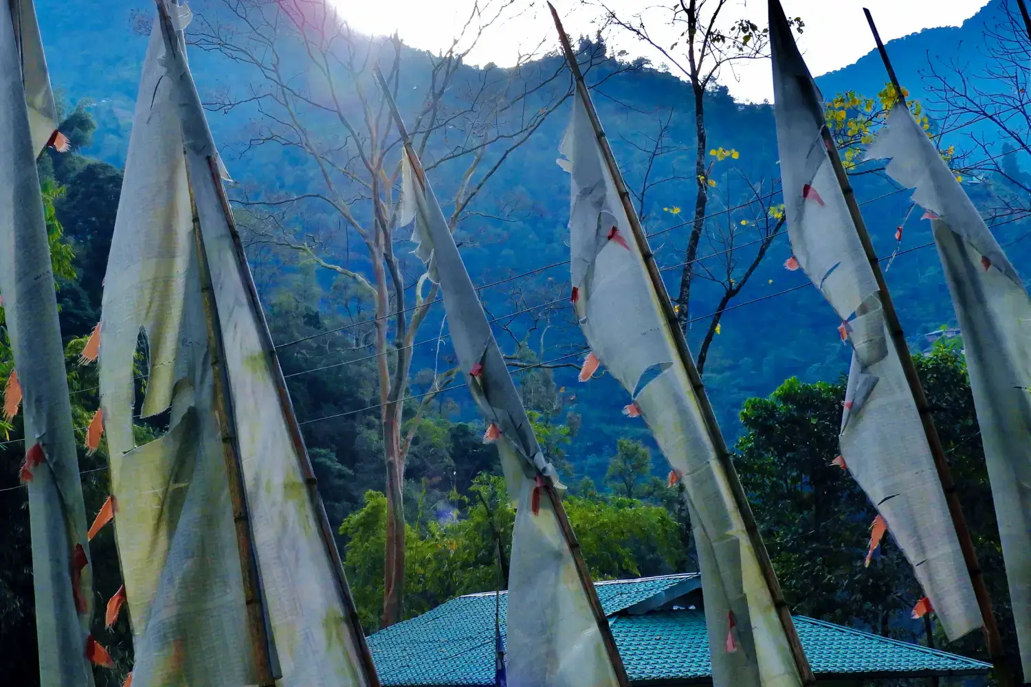 Lingtam Silk Route Tour