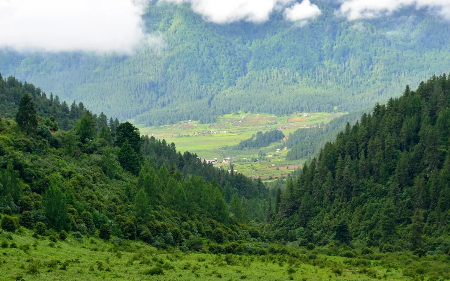 Phobjikha Valley 
