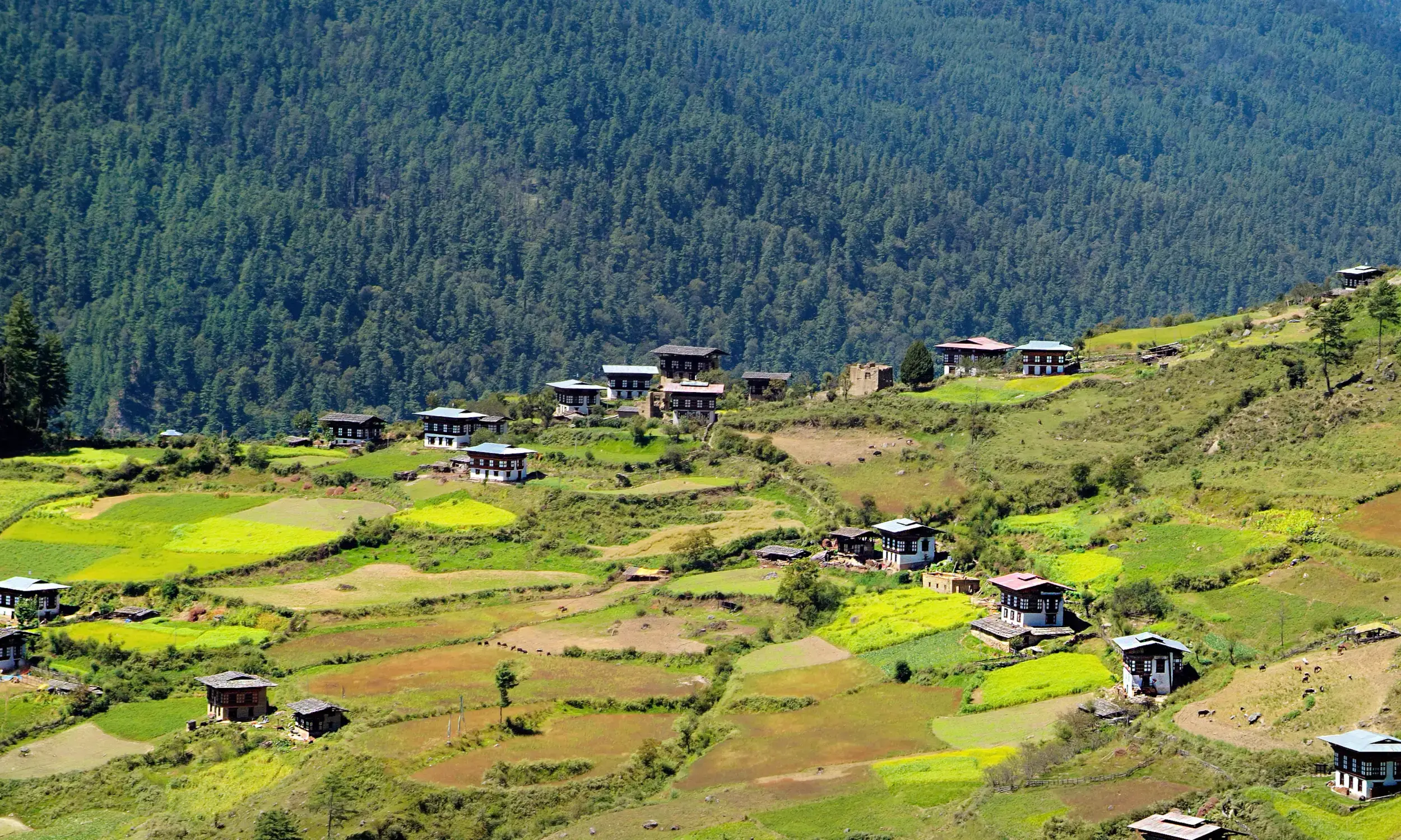 Bhutan Tourism - Haa Valley